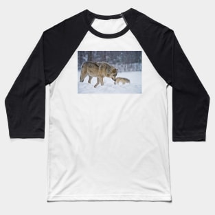 Timber Wolves Baseball T-Shirt